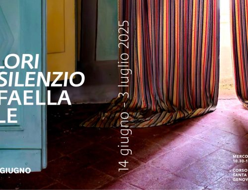 RAFFAELLA FOLLE – I COLORI DEL SILENZIO
