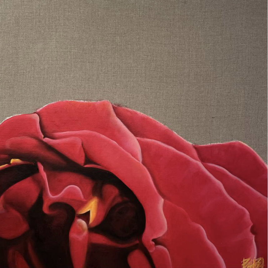 dentro una rosa rossa